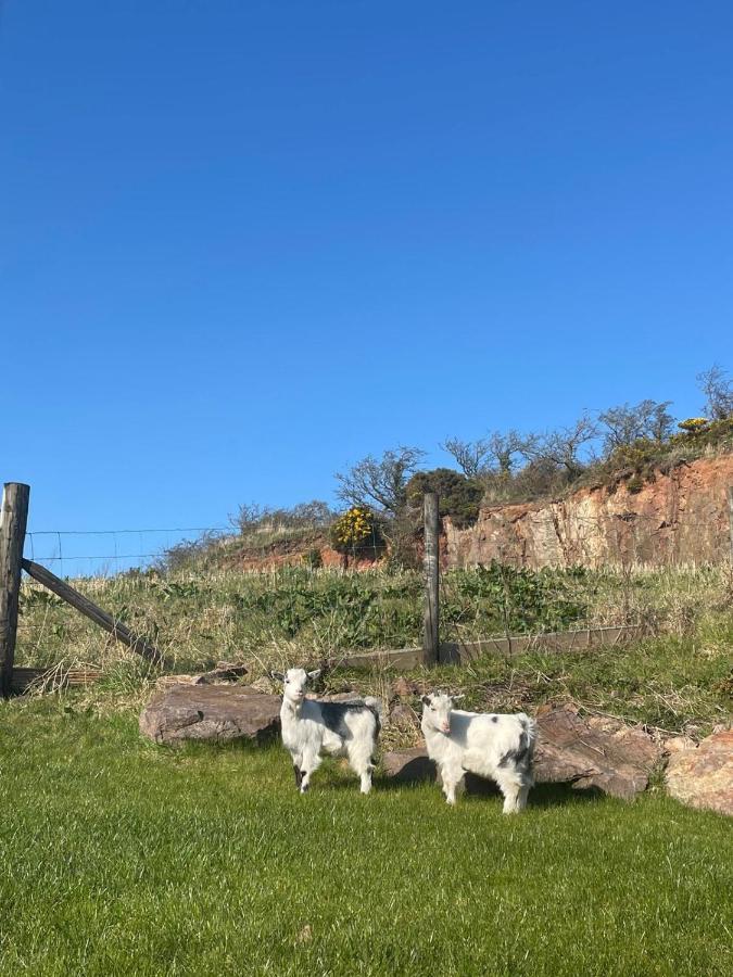 Glens Glamping Villa Cushendall Ngoại thất bức ảnh